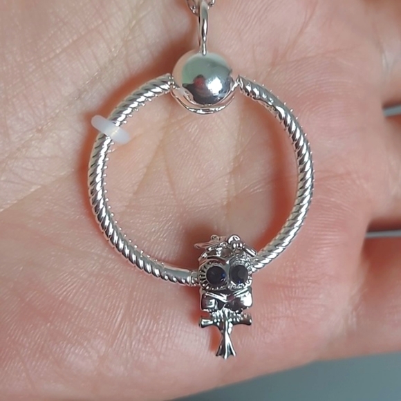 Bundle 3 pieces Deal - 45 CM Graduation Owl Charm + Pendant + Necklace - Picture 2 of 6